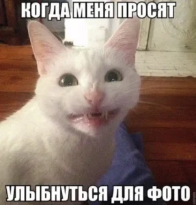 3aa7d65d968a504b9b5d3ac2c4743bce.webp