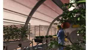 62811aa1d32af5b4b5dc1abeccc33bbe.webp