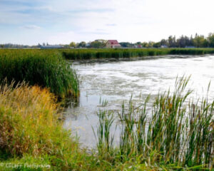 aaebfe78af02c607c7ffed079111999a.jpg